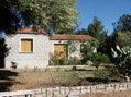 Casamia_03.jpg